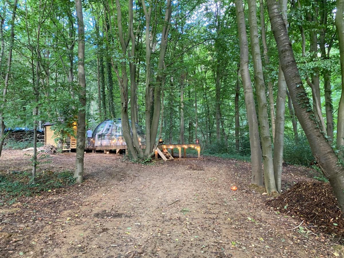 Le Dome De Namur - Une Nuit Insolite Dans Les Bois Exterior foto
