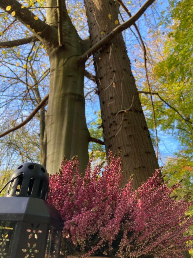 Le Dome De Namur - Une Nuit Insolite Dans Les Bois Exterior foto