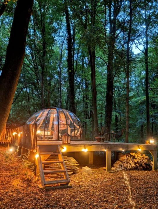 Le Dome De Namur - Une Nuit Insolite Dans Les Bois Exterior foto